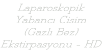 Laparoskopik Yabancı Cisim (Gazlı Bez) Ekstirpasyonu - HD