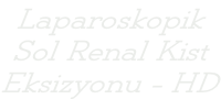 Laparoskopik Sol Renal Kist Eksizyonu - HD
