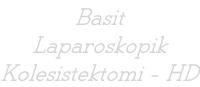 Basit Laparoskopik Kolesistektomi - HD