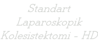 Standart  Laparoskopik  Kolesistektomi - HD